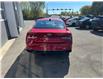 2023 Hyundai Elantra Preferred w/Tech Package in Kingston - Image 5 of 10