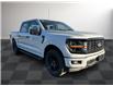 2025 Ford F-150 STX (Stk: FS40400) in Windsor - Image 9 of 25