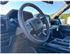2025 Ford F-150 STX (Stk: FS40400) in Windsor - Image 17 of 25