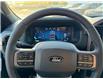 2025 Ford F-150 XLT (Stk: FS42227) in Windsor - Image 22 of 25