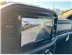 2025 Ford F-150 XLT (Stk: FS42227) in Windsor - Image 24 of 25