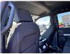2025 Ford F-150 XLT (Stk: FS26225A) in Windsor - Image 12 of 27