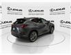 2026 Lexus NX 350 Base (Stk: 14111092) in Markham - Image 8 of 14 2026 Lexus NX 350 Base (Stk: 14111092) in Markham - Image 8 of 14