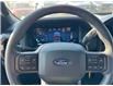 2025 Ford F-150 STX (Stk: FS97040) in Windsor - Image 23 of 26