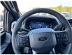 2025 Ford F-150 STX (Stk: FS31441) in Windsor - Image 23 of 26