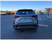 2025 Lexus NX 350 Base (Stk: 227490) in Regina - Image 7 of 28 2025 Lexus NX 350 Base (Stk: 227490) in Regina - Image 7 of 28