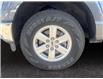 2023 Ford F-150 XLT (Stk: 20249) in Okotoks - Image 14 of 15