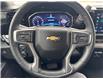 2024 Chevrolet Silverado 1500 LT (Stk: 25P060) in Wadena - Image 10 of 10