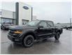 2025 Ford F-150 XLT (Stk: F1337) in Miramichi - Image 1 of 13