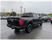 2025 Ford F-150 XLT (Stk: F1337) in Miramichi - Image 5 of 13