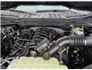 2025 Ford F-150 XLT (Stk: F1337) in Miramichi - Image 13 of 13
