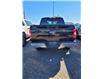 2020 Ford F-150 XLT (Stk: OP3961) in Pincher Creek - Image 4 of 8