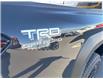 2025 Toyota Tacoma Hybrid Base (Stk: T043487) in Cranbrook - Image 19 of 22