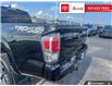 2023 Toyota Tacoma Base (Stk: 2507481) in Cambridge - Image 11 of 25