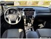 2023 Toyota 4Runner Base (Stk: DR1059) in Brantford - Image 22 of 23