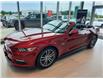 2017 Ford Mustang GT Premium (Stk: 8833A) in Cornwall - Image 1 of 30