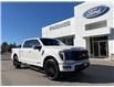 2025 Ford F-150 Platinum (Stk: 25T921) in CRESTON - Image 1 of 30