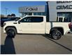 2022 GMC Sierra 1500 Limited AT4 (Stk: UT85046) in Cobourg - Image 11 of 19