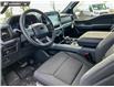 2025 Ford F-150 XLT (Stk: 25AT4262) in Airdrie - Image 13 of 25