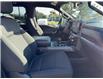 2025 Ford F-150 XLT (Stk: 0T5599) in Kamloops - Image 22 of 25