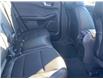 2026 Ford Escape ST-Line (Stk: 2026-03) in New Liskeard - Image 12 of 16