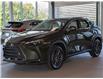 2026 Lexus NX 350h Base (Stk: 6909) in Kingston - Image 1 of 15