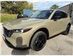 2024 Mazda CX-5 Suna (Stk: 16032) in Newmarket - Image 1 of 50