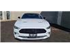 2022 Ford Mustang GT (Stk: 164022) in London - Image 2 of 10