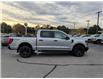 2025 Ford F-150 STX (Stk: F1302) in Miramichi - Image 6 of 13