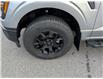 2025 Ford F-150 STX (Stk: F1302) in Miramichi - Image 9 of 13