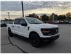 2025 Ford F-150 STX (Stk: F1355) in Miramichi - Image 7 of 13