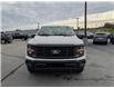 2025 Ford F-150 STX (Stk: F1355) in Miramichi - Image 8 of 13