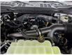 2025 Ford F-150 STX (Stk: F1355) in Miramichi - Image 13 of 13