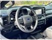 2021 Ford F-150  (Stk: DU8203T) in Ottawa - Image 11 of 17