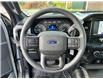 2021 Ford F-150  (Stk: DU8203T) in Ottawa - Image 14 of 17