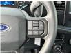 2021 Ford F-150  (Stk: DU8203T) in Ottawa - Image 15 of 17