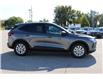 2026 Ford Escape Active (Stk: ES264) in Harrow - Image 4 of 19