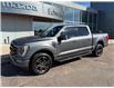 2022 Ford F-150 Lariat (Stk: 24602) in Pembroke - Image 3 of 32