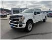 2022 Ford F-350 Platinum (Stk: 5T126A) in Williams Lake - Image 1 of 13