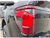 2025 Ford F-150 XLT (Stk: 5F141476) in Brantford - Image 9 of 23