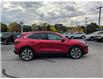2024 Ford Escape Platinum (Stk: ES602A) in Miramichi - Image 6 of 14
