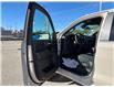 2026 Chevrolet Silverado 1500 Custom Trail Boss (Stk: TT141880) in Caledonia - Image 21 of 46
