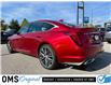 2024 Cadillac CT5 Premium Luxury (Stk: 2-11806A) in Oshawa - Image 4 of 50 2024 Cadillac CT5 Premium Luxury (Stk: 2-11806A) in Oshawa - Image 4 of 50