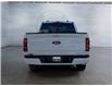 2025 Ford F-150 XLT (Stk: 15219) in Golden - Image 6 of 17