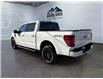2025 Ford F-150 XLT (Stk: 15219) in Golden - Image 7 of 17