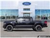 2025 Ford F-150 XLT (Stk: SK-549) in Okotoks - Image 3 of 24