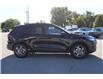 2026 Ford Escape ST-Line (Stk: ES263) in Harrow - Image 4 of 19