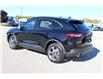 2026 Ford Escape ST-Line (Stk: ES263) in Harrow - Image 7 of 19