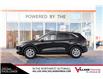 2024 Ford Escape Active (Stk: B8958) in Calgary - Image 6 of 34