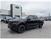 2025 Ford F-150 XLT (Stk: F1349) in Miramichi - Image 1 of 13